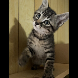 9.甘えん坊のシンジ君・たくさん遊びます