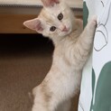 仲良し元気兄弟