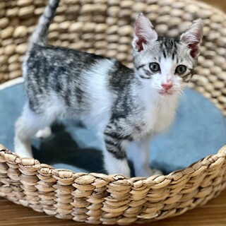 アーク♡家族ができました