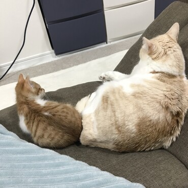 の写真
