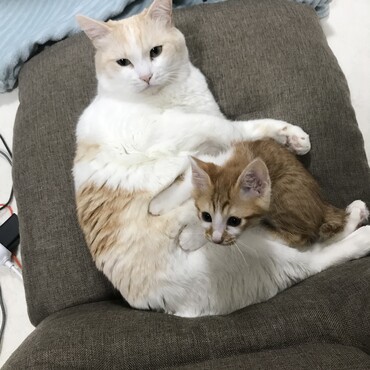 の写真