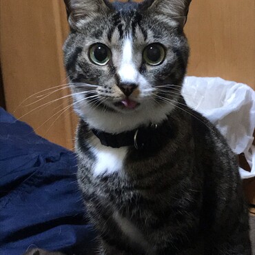 の写真