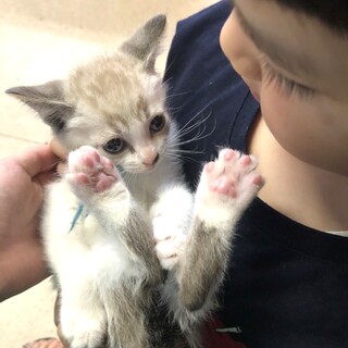 里親さま決まりました☆