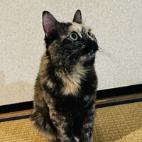 ちゅった(つぶ)