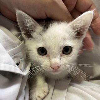 ありがとうございました★カリンくん