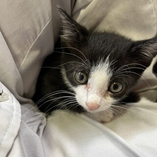 ありがとうございました★チェリーくん