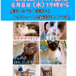 ６月８日(水)１９時★オンライン譲渡会【インスタLIVE】