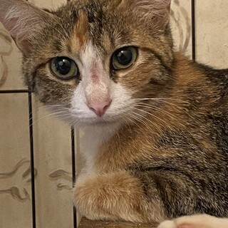 1歳くらいの女の子