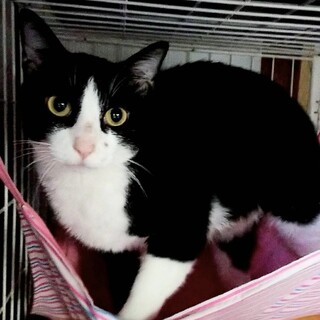 【のみお】おかげさまで里親様が決まりました。