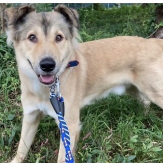 ビックな男の子[たまお］