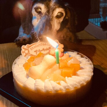 アリー誕生日
