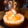 アリー誕生日