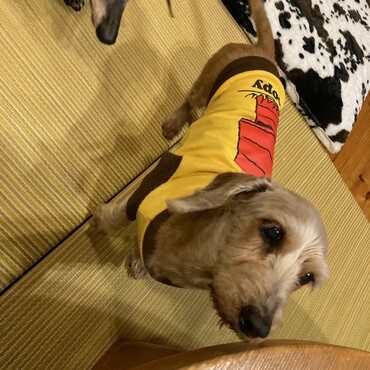ベティ