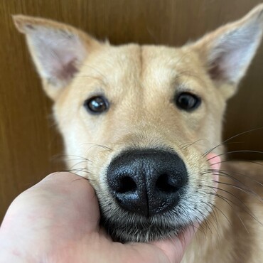 の写真