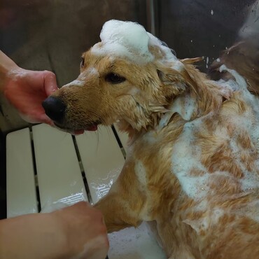 の写真