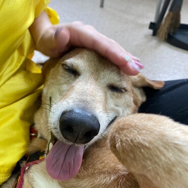 の写真