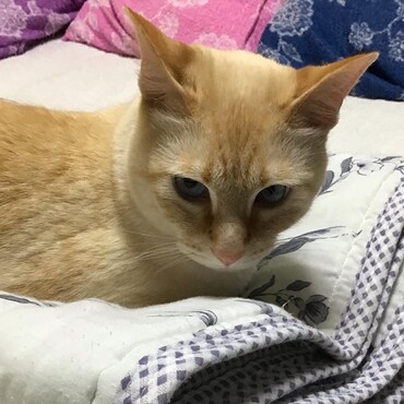 ミグちゃん、どうしたの？大丈夫？ダイジョウブ・パワーを送るね！