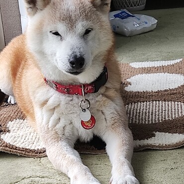 ミグちゃん｡ﾟ(ﾟ´Д｀ﾟ)ﾟ｡どうしたの？遠くからだけど…パワーを送るねᕦ(ò_óˇ)ᕤ元気になって‼