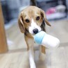 ぱっちりお目々とマツ毛にキュン♡キュン♡ サムネイル4