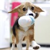 ぱっちりお目々とマツ毛にキュン♡キュン♡ サムネイル5