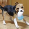 ぱっちりお目々とマツ毛にキュン♡キュン♡ サムネイル6