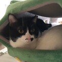 【坂上忍】募集を終了しました