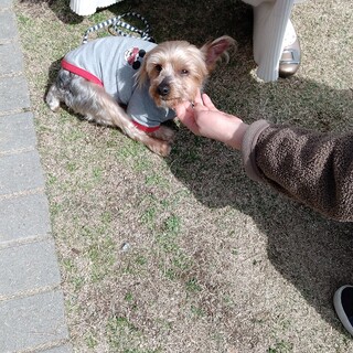 抱っこが大好きリョウ君