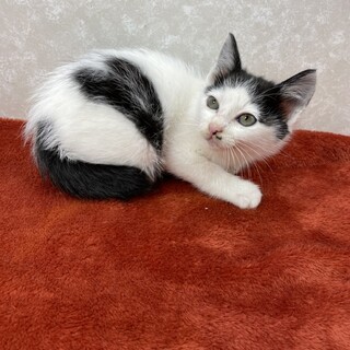 背中にハート❗️貴方にハート♥️をお届けします❗️