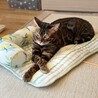 るーみん0820