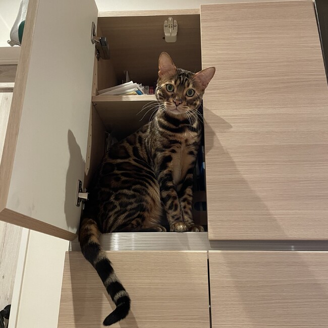 るーみん0820のカバー写真
