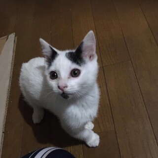 とっても甘えん坊な男の子