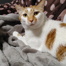 チャチャよ…君はデカイね( *´艸)