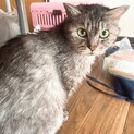 エナ 育児放棄 懐っこい
