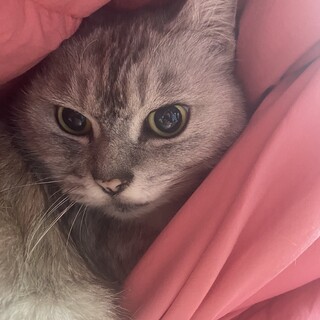 ゴロウ 育児放棄 懐っこい