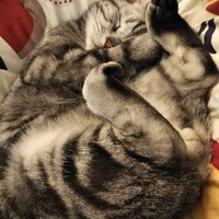のり