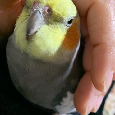 の写真
