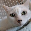 【マリ】募集を終了しました