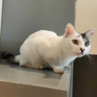 おもちゃ大好き！元気いっぱいな男の子。【豆】くん