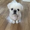 積極的で明るい太陽みたいな女の子♡ サムネイル6