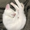  さん