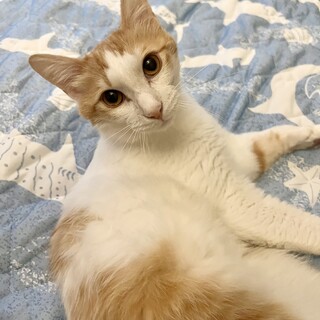 毎晩添い寝してくれる甘えん坊！キャンチョメくん