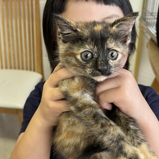 超フレンドリー花マルの性格❣️テテちゃん