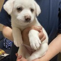 乙姫☆約1.5ヶ月　☆交渉中☆
