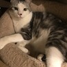 おめめクリクリ