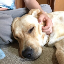 幸せそうなお顔