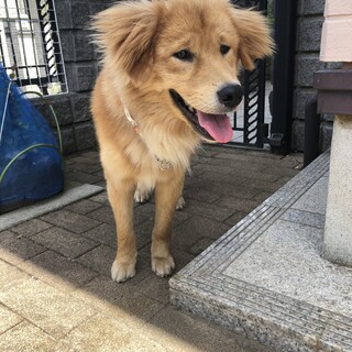 「まるお」男の子