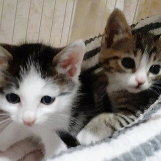 とっても可愛い兄妹❣️