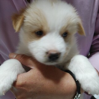 ころころ可愛い！男の子（青葉くん）