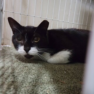 控えめお上品女子♡ノアちゃん♪