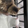 の写真